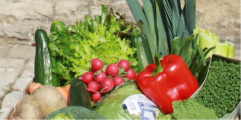 Gemüsekiste Caritasverband für den Landkreis Kitzingen e.V. – „Die gesunde Gemüsekiste" am Gründonnerstag